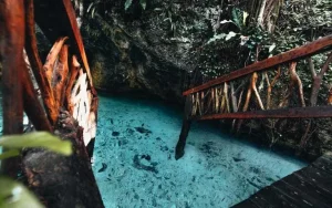 Lee más sobre el artículo Grand Cenote