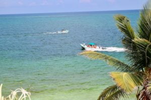Boat tours