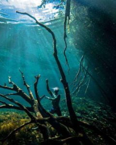 Lee más sobre el artículo Snorkeling