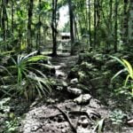 muyil ruins tulum