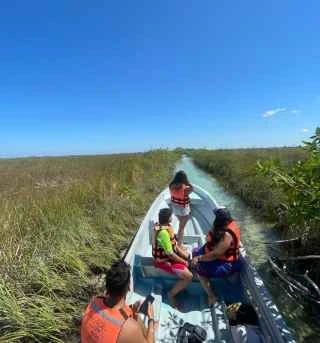 tulum transport tours