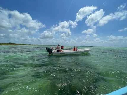 tulum transport tours